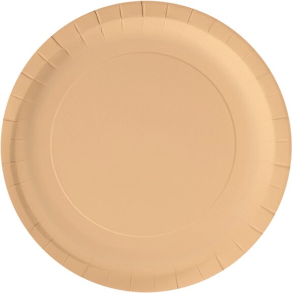 wegwerpbordjes-pastel-oranje-23-cm-8-stuks-voorkant-01