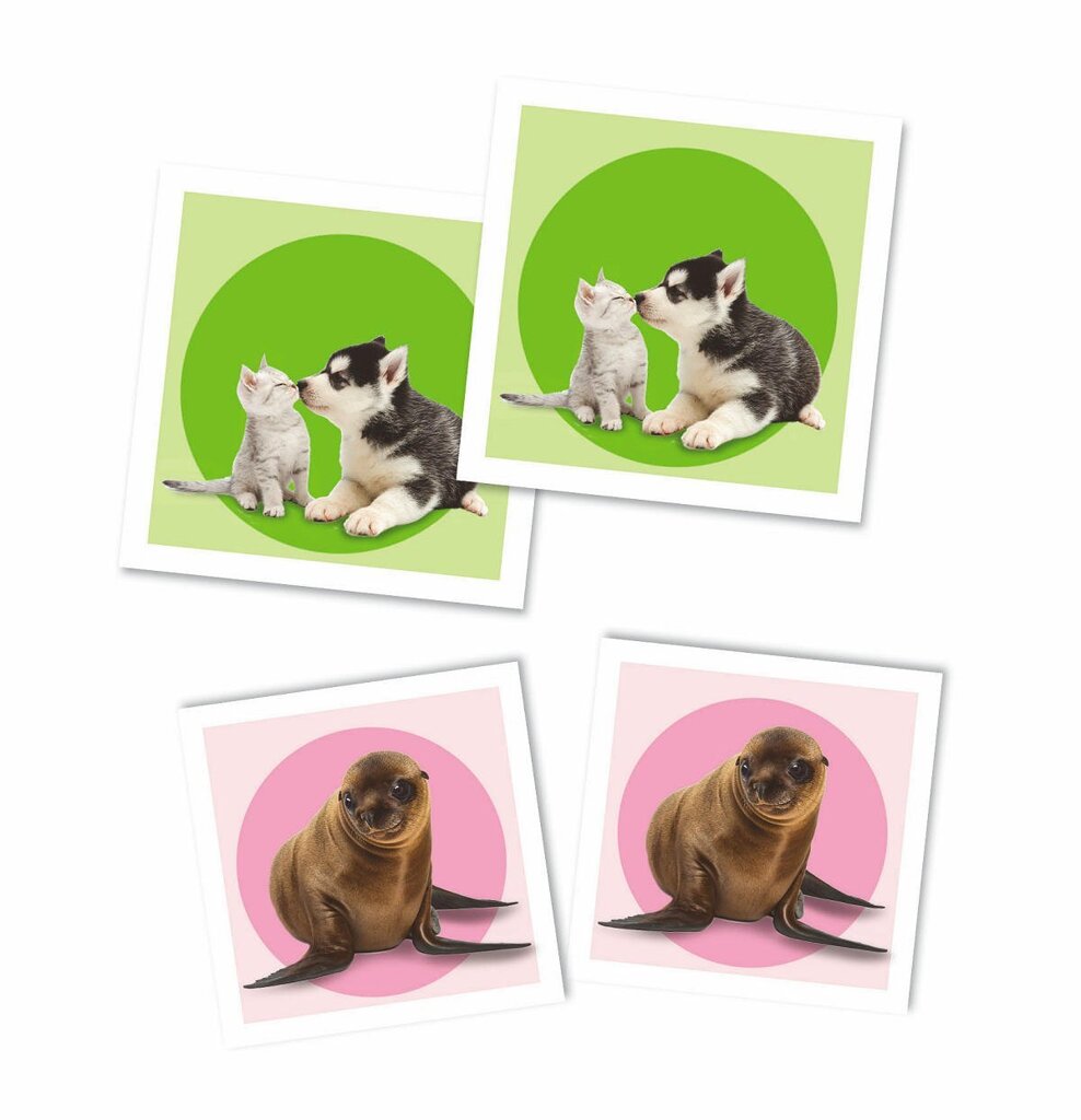 clementoni-memo-baby-dieren-voorkant-04