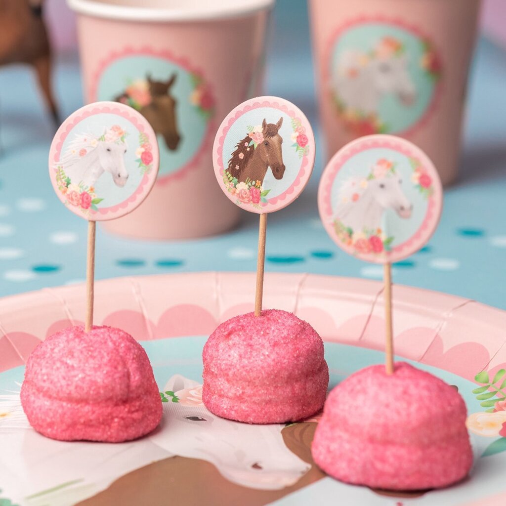 cocktailprikkers-paarden-16-stuks-voorkant-01