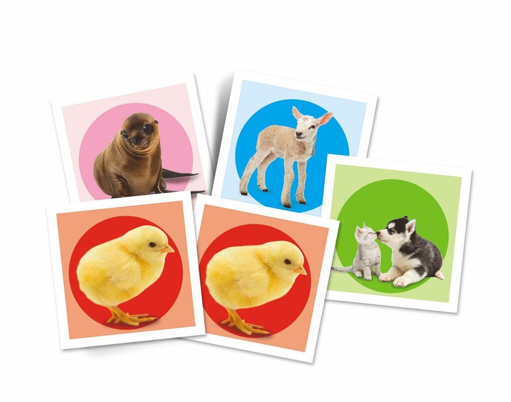 clementoni-memo-baby-dieren-voorkant-02