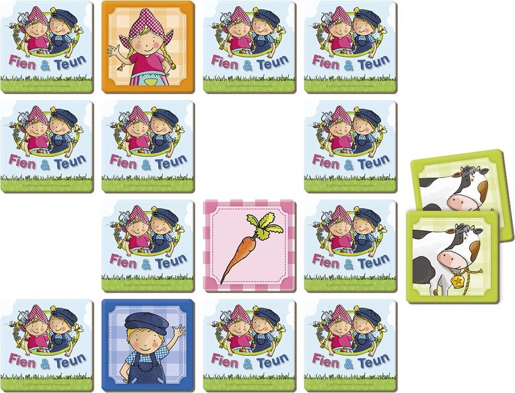 fien-teun-memoryspel-voorkant-02