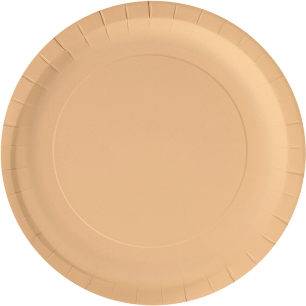 wegwerpbordjes-pastel-oranje-23-cm-8-stuks-voorkant-01